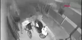 ANTALYA Çalınan papağan ve motosiklet bulundu