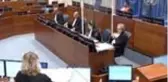 Son dakika haberleri: Bosnalı Sırp General Mladiç'in temyiz duruşması başladı