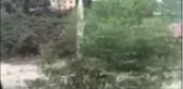 Son dakika haberleri! Giresun'da sel felaketini anlatan en ilginç kare