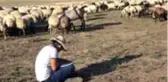 Çobanlık yaparken üniversiteye hazırlanan Vanlı Muhammet, tıp fakültesini kazandı