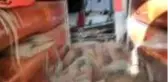 İsrailli aileler içerisi mühimmat dolu terk edilmiş çok sayıda tank buldu