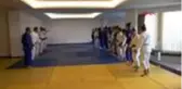 Judo Kadın Olimpik Milli Takımı, yükseklik kampı için Erzurum'da