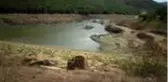 Malkara'da yağışların azlığı ve sulamadan kaynaklı göletlerin suyu azaldı