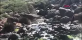 MUĞLA Koruma altındaki Küdür'deki çevre kirliliğe tepki