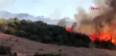 Son dakika haberi | Tekirdağ'da anız yangını