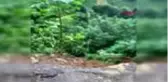 RİZE Dükkanını heyelanda kaymasın diye halatla bağladı