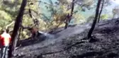 Son Dakika | Orman yangını söndürüldü