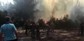 Ormanlık alanda yangın çıktı - HATAY