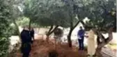 Tatile gittiği İspanya'da yaşamını yitiren Türk gencin ailesi yardım istiyor