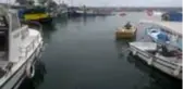 Düzceli balıkçılar yeni sezonda elleri dolu dönüyor