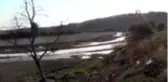 Kapaklar açıldı, susuz kalan balıklar ölmeye başladı