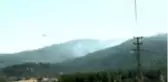 Nallıhan'daki orman yangınını söndürme çalışmaları sürüyor (6)
