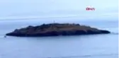 MARMARA DENİZİ EKOSİSTEMİNE GIRGIR TEHLİKESİ 1