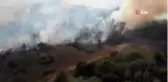 Rusya'da ormanlık alanda yangın: 2 ölü