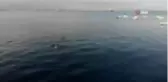 Sıcaktan bunalan vatandaşlar Pendik'te denize girdi