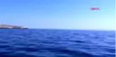 İZMİR Yunan Sahil Güvenliği, FETÖ şüphelilerini jet ski'yi bozup Türk karasularına bırakmış
