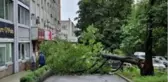 Maysak tayfunu Rusya'yı vurdu