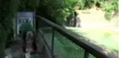 Sıcaktan bunalan hayvanlar buzlu besinlerle serinliyor