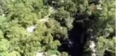 Dünyaya kabusu yaşattılar, Antalya'yı gübreleriyle yeşile doyurdular