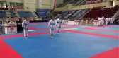 Karate Federasyonu Başkanı Delihasan: 