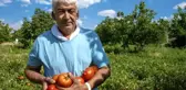 Sandıkta bulduğu asırlık Ayaş domatesi tohumu hayatını değiştirdi! Bir domatesten 30 TL kazanıyor