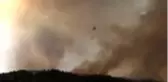 Samandağı'nda çıkan orman yangınına müdahale ediliyor