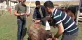 Kars'ta yaşatılan asırlık gelenek: 