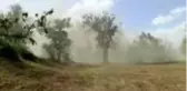 Mesire alanında hortum