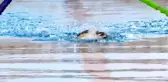 Paralimpik yüzücülerin hedefi olimpiyatlarda kürsüye çıkmak