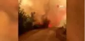Adana'daki orman yangınını söndürme çalışmaları sürüyor