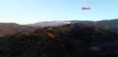 Son dakika... Hatay'da orman yangını beşinci gününde Müdahale sürüyor