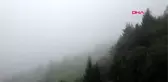 Son dakika haber... TRABZON Çal Mağarası, en sakin dönemini yaşıyor