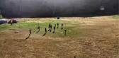 Voleybol tutkunu 