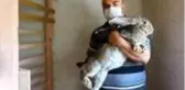 Büyüklüğüyle görenleri hayrete düşürüyor! Velikan cinsi tavşanlar 2 bin liradan alıcı buluyor