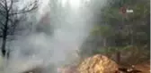 Kavaklıdere'deki orman yangını kontrol altına alındı