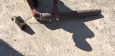 Ses cihazıyla kaçak avlanan kişi yakalandı - ZONGULDAK