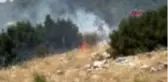 ADIYAMAN Ormanlık alanda çıkan yangın, büyümeden kontrol altına alındı