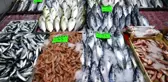 'Denizlerin prensi' lüfer, kilogramı 170 liradan tezgahlarda yerini almaya başladı