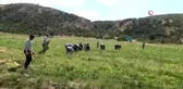 38 yıl boş kalan tarlası, devlet desteğiyle üretime kazandı