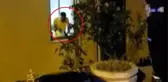 Kapı eşiğindeki kadını av tüfeğiyle öldürdü, 