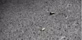 Son dakika haberi: FATİH'TE SİLAHLI KAVGA: 2 YARALI