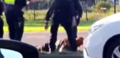 Avustralya'da polisin kafasını tekmelediği kişi yoğun bakımda