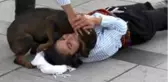 Yaralı rolü yapan oyuncuya şefkat gösteren köpeği belediye sahiplendi
