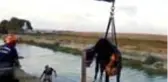 KÜÇÜKÇEKMECE GÖLÜ'NE DÜŞEN İNEĞİ İTFAİYE KURTARDI