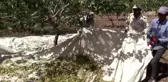 Pervari'de fıstık hasadı üreticilerin yüzünü güldürdü