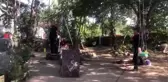 Su kuyusuna düşen civcivi itfaiye kurtardı