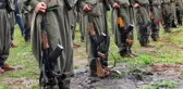Terör örgütü PKK'nın kurucularından Ali Haydar Kaytan etkisiz hale getirildi