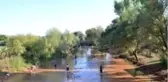 Yağışın ardından derede elleriyle balık tuttular