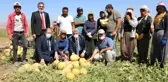 Vali hasat yapan çiftçileri ziyaret etti