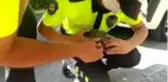 Trafik ekipleri bu kez kaplumbağanın imdadına koştu